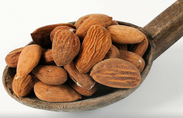 قیمت خرید بادام تلخ درختی با فروش عمده